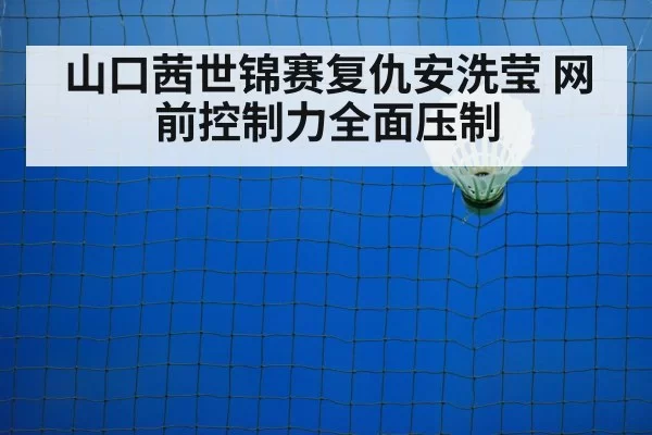 badminton net play