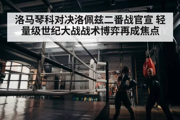 boxer training